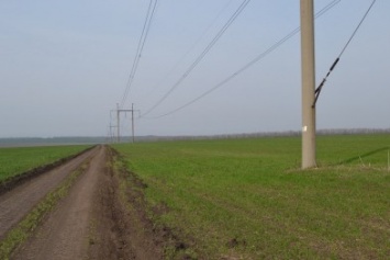 В Добропольском районе практически завершили сев поздних яровых культур