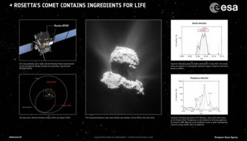 Rosetta нашла на "украинской" комете компоненты жизни