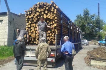 В Луганской области чиновники воровали лесоматериалы