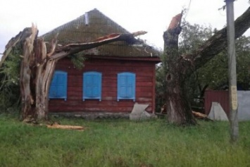 Из-за вчерашней непогоды 15 населенных пунктов Черниговщины остались без электричества и 30 - без связи