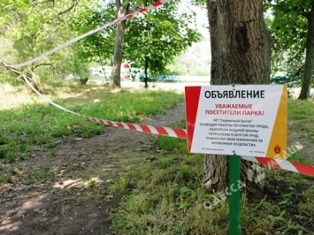 В одесском парке Победы впервые за 10 лет чистят пруд