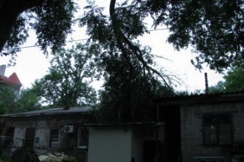 На Короленко упало дерево и пробило крышу (ФОТО)