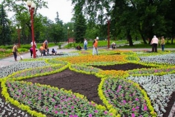 В весенние месяцы в Макеевке высадили больше 120 тысяч цветов (фото)