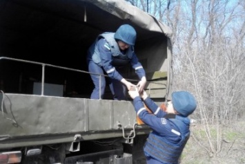 На Житомирщине грибник нашел в лему снаряд