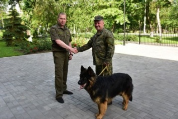 Аброськин создаст в Мариуполе подразделение собак-полицейских (ФОТО)