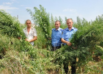 Правоохранители позвали жителей Николаевщины вместе обезвреживать нелегальные посевы мака и конопли