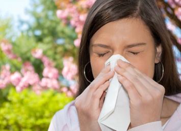 Бактерии, попадающие в окружающую среду при чихании, находятся на оболочке носа