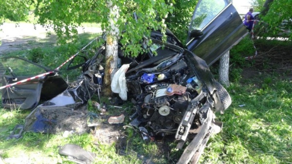 В Рязанской области Audi врезался в дерево – погибли два человека