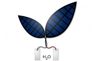 «Бионический лист» получает топливо из солнца, воздуха и воды