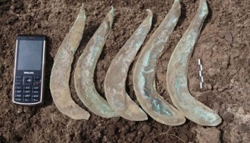Коллекционер передал Сумскому музею уникальные серпы бронзовой эпохи