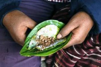 Мьянма запрещает жевать бетель на публике
