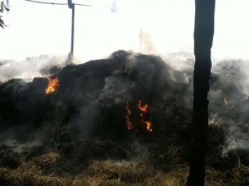 В Новом Буге сгорело несколько тонн сена