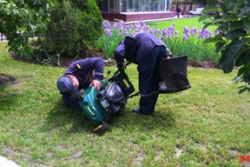 Одесский спасателей начальство заставляет стричь газоны и красить бордюры (ФОТО, ДОКУМЕНТ)