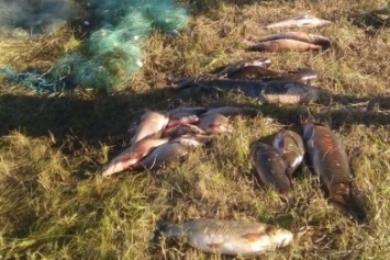 На берегу Каховского магистрального канала участковым инспекторам попался браконьер
