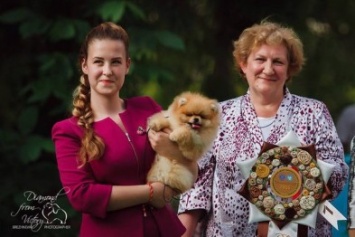 В Черноморске прошла пятая международная выставка собак (+фото)