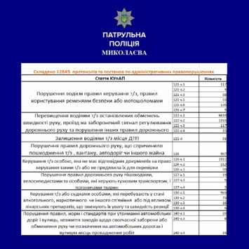 Николаевские патрульные за полгода задержали в Николаеве более тысячи пьяных водителей