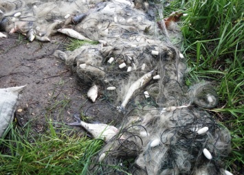 Криворожский браконьер попался с уловом в Кировоградской области (фото)