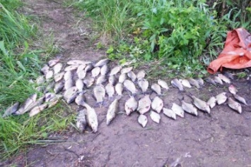 Криворожский браконьер "нарыбачил" в соседней области себе срок до трех лет с конфискацией (ФОТО)
