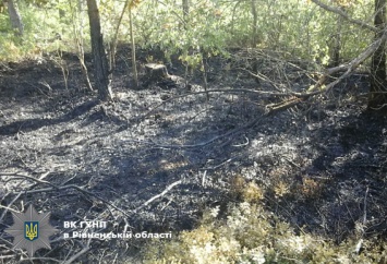 В Ровненской области подростка привязали к дереву и пытались сжечь заживо