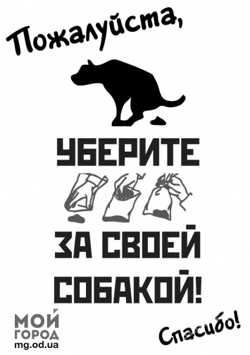 «Фекальный бум» в Одессе грозит горожанам вспышками заболеваний - эксперт