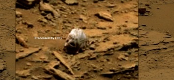 Уфологи сообщают поразительную новость: на Марсе найден череп снежного человека. Видео