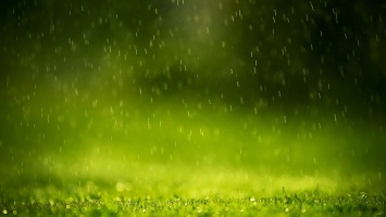 Погода в Украине на выходные 11-12 июня: дожди и грозы