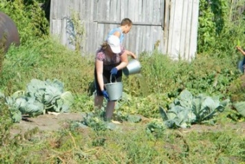 В Мариуполе 12 бригад будут искать шланги в огородах