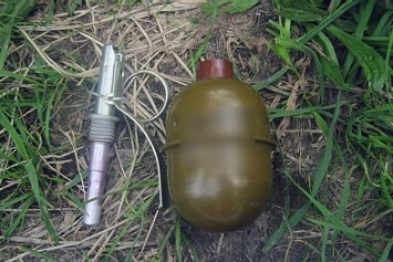 Житель Покровска (Красноармейска) приехал погостить к товарищу с гранатой в кармане