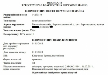 СМИ нашли у люстатора Козаченко неуказанную в декларации собственность