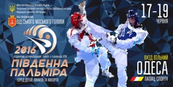 Одесса встретит участников турнира по тхэквондо «Южная Пальмира»