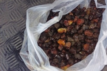На Житомирщине полицейские изъяли у копателей-нелегалов около 2 кг янтаря