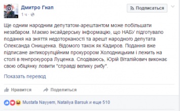 В НАБУ готовы снять неприкосновенность и арестовать Онищенко