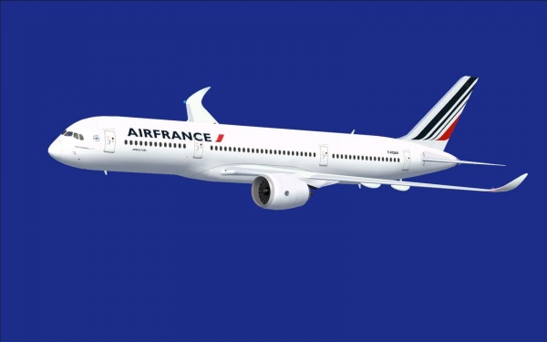 Авилайнер Air France вынужденно сел в Хабаровске