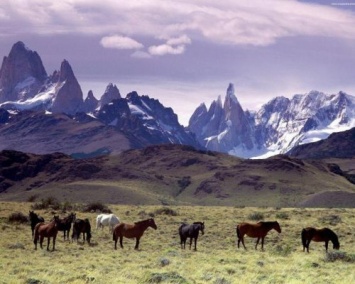 Ученые озвучили причину массового вымирания животных в Патагонии