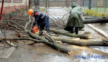 На Волыни непогода оставила без электричества 55 населенных пунктов