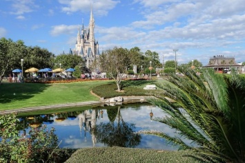 В Walt Disney World задумались о повышении безопасности посетителей