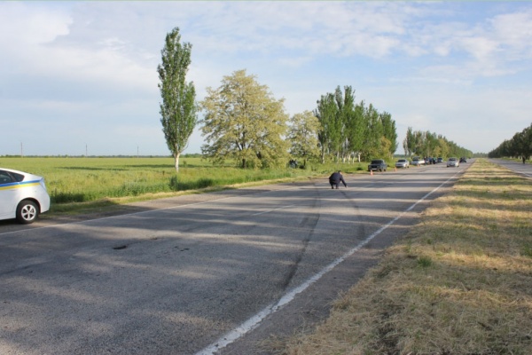 Фото: подробности жуткого ДТП на запорожской трассе