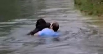 Мужчина прыгнул в вольер к животным в зоопарке, чтобы спасти тонущего шимпанзе