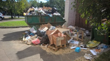 Копавшуюся в отходах пенсионерку забросали мусором на востоке Москвы