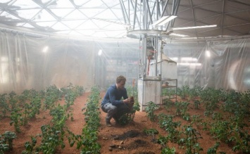 Хорошие новости: марсианские колонисты смогут есть любые овощи, которые захотят