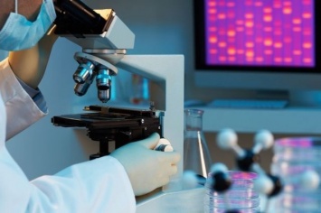 Новосибирские генетики создадут искусственные клетки для лечения болезней