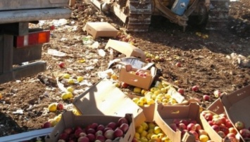 Россия готова снять запрет на турецкие овощи