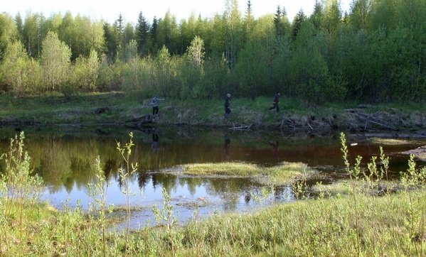 Под Нижним Новгородом нашли заблудившуюся в лесу девочку