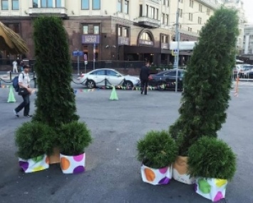 "Хвойные пенисы" в центре Москвы рассмешили соцсети (ФОТО 18+)