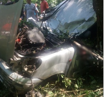В Хмельницкой обл. автомобиль въехал в дерево: погибли три человека