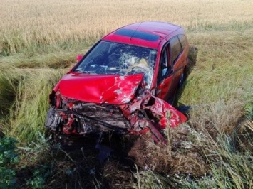 Двое человек погибли в аварии в Херсонской области