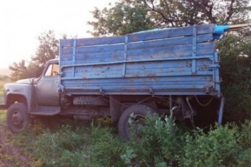 Через границу Сумщины в РФ хотели незаконно переместить более 2 тонн грецких орехов (ФОТО)