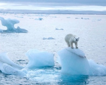 Таяние ледников в Арктике достигло рекордно высокой скорости