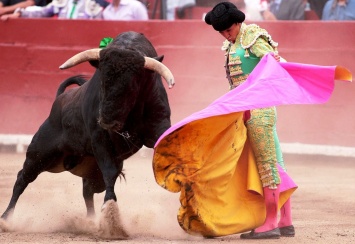 "Кровавая коррида" в Испании: бык убил тореадора на глазах у зрителей (Видео)