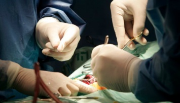 В Украине впервые пересадили механическое сердце (ВИДЕО)